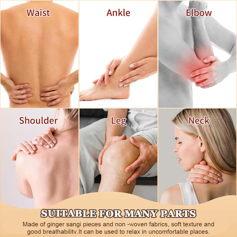 🔥2025 Varmt salg🎁Malmört Moxibustion Leddplaster