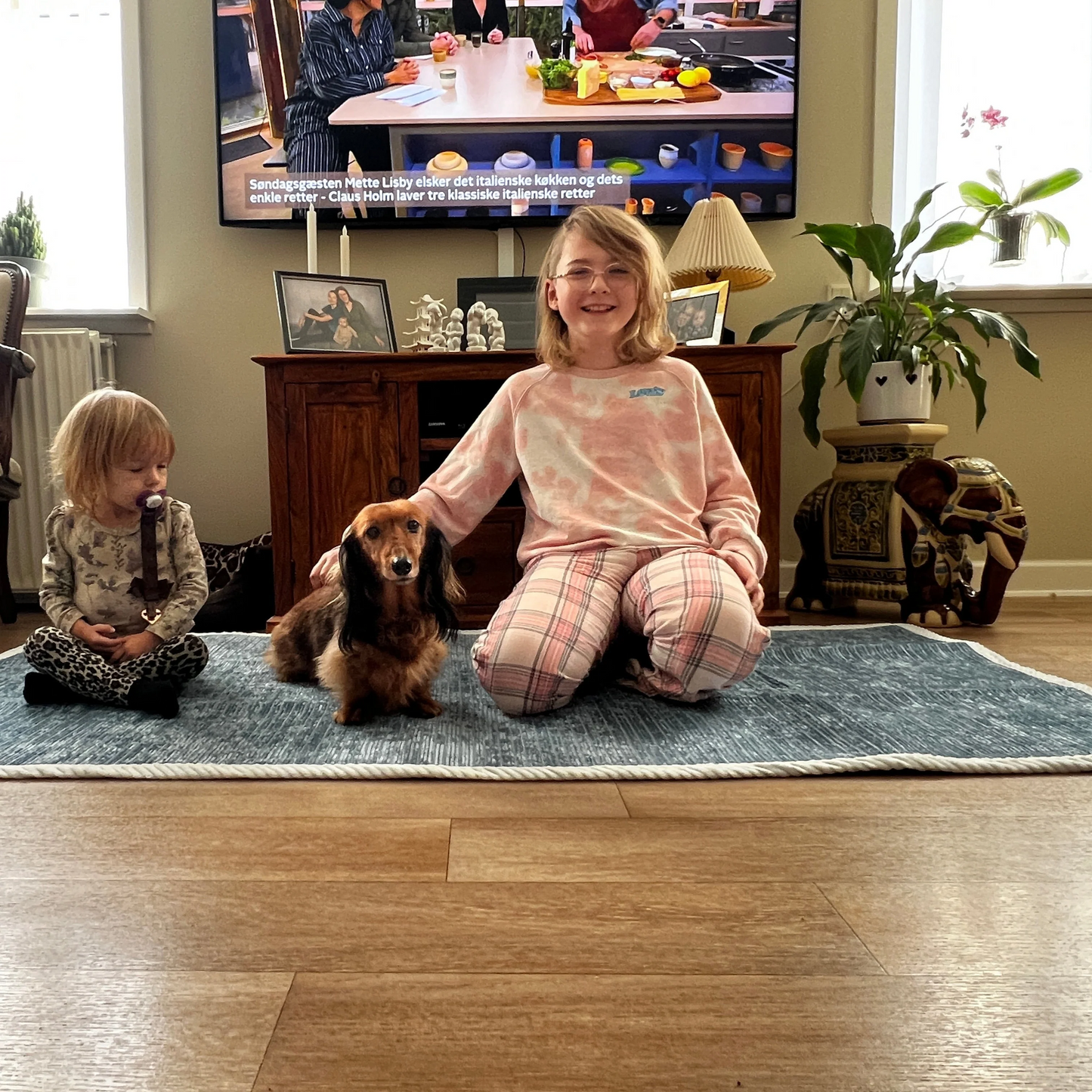 ⏳Ukentlig spesialsalg:🐾Rivfast sofatrekk