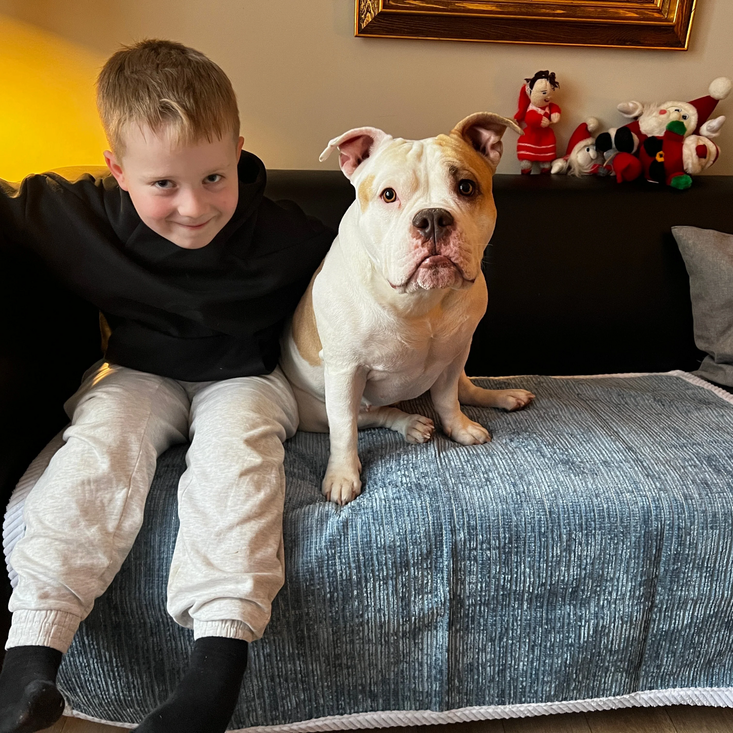 ⏳Ukentlig spesialsalg:🐾Rivfast sofatrekk